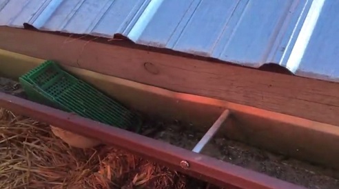 In
                                der Regenrinne sind noch mehr Filter, wo
                                die R�hren abgehen