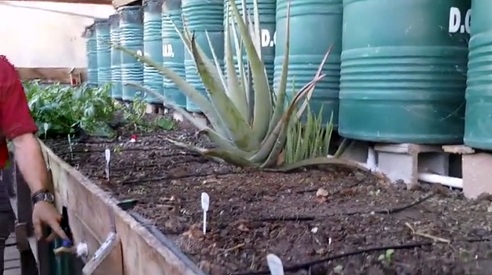 Der Wasserhahn von
                                einem der Wasserf�sser