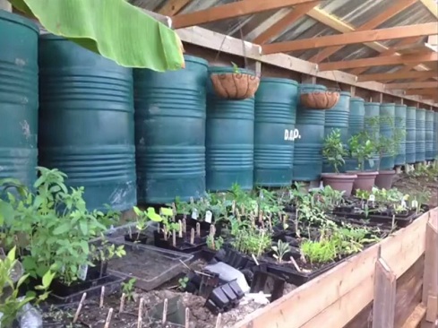 Setzlinge im Februar und M�rz