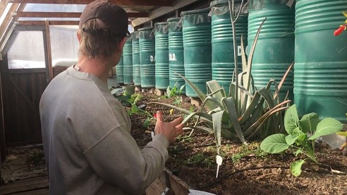 Februar:
                                Sektoren 1 + 2 sind abgeerntet und leer