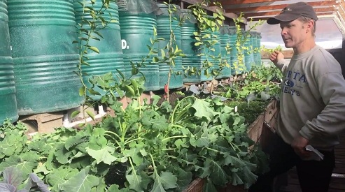 Februar:
                                Sektor 3 ist noch voll mit wachsendem
                                Gem�se