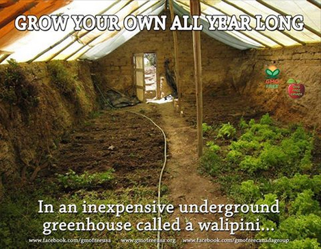 Anden: Das Walipini ist ein
                    halb unterirdisches Treibhaus mit Erdwrme, wo es
                    nie unter 0 Grad wird