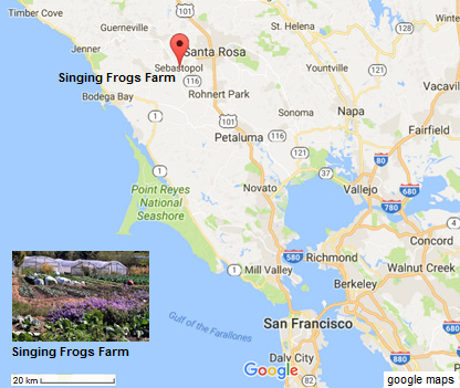Map with San
                          Francisco, Sebastopol and the Singing Frogs
                          Farm