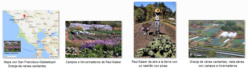 Agricultura con campos peque�os, p.e.
                  en la Granja de ranas cantantes ("Singing Frogs
                  Farm") en California, funciona sin pesticidas
                  porque los animales terrestres son diferentes
                  dependiendo de la verdura cultivada, se juntan contra
                  los animales malos y NO se necesita NING�N pesticida,
                  toda la plata para pesticidas es GUARDADA