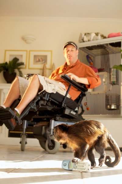 Kapuzineraffe mit Handy: Der
                          querschnittsgel�hmte Craig Cook mit
                          Kapuziner�ffin Minnie: "Sie ist
                          menschen�hnlicher als man denkt", sagt
                          Cook.