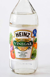 Weisser Essig vertreibt Ameisen Weisser Essig
vertreibt Ameisen