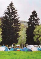 Das Zeltlager mit den grossen,
                          rauschenden Tannen im Hintergrund