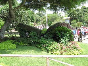 Pflanzenschmetterling am Eingang des
                          Botanischen Gartens (02)