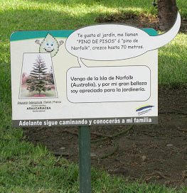 Botanischer Garten im
                          "Legendenpark" in Lima, die Tafel
                          der Zimmertanne