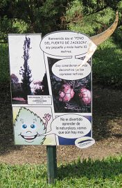 Botanischer Garten im
                          "Legendenpark" in Lima, Tafel des
                          Baums Callitris rhomboidae