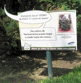 Botanischer Garten im
                          "Legendenpark" in Lima, die Tafel
                          der Lawsons Scheinzypresse