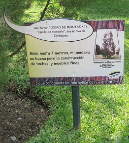 Botanischer Garten im
                          "Legendenpark" in Lima, Tafel
                          Bergzypresse