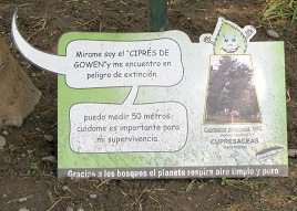 Botanischer Garten im
                          "Legendenpark" in Lima, Tafel der
                          Gowens Zypresse