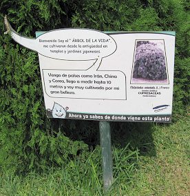 Botanischer Garten im
                          "Legendenpark" in Lima, Tafel des
                          Lebensbaums