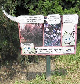 Botanischer Garten im
                          "Legendenpark" in Lima, die Tafel
                          Gemeiner Wacholder