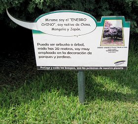 Botanischer Garten im
                          "Legendenpark" in Lima, Tafel
                          Chinesischer Wacholder