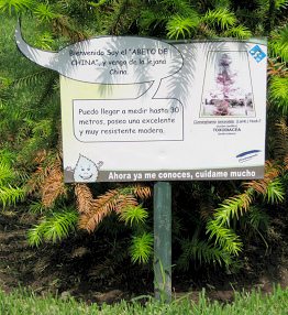 Botanischer Garten im
                          "Legendenpark" in Lima, Tafel
                          Spiesstanne