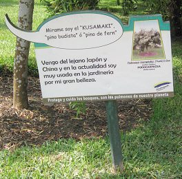 Botanischer Garten im
                          "Legendenpark" in Lima, Tafel der
                          Steineibe