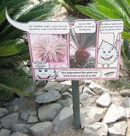 Botanischer Garten im
                          "Legendenpark" in Lima, Tafel
                          Palmfarn