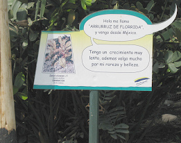 Botanischer Garten im
                          "Legendenpark" in Lima, Tafel Dion
                          Rzedowskii