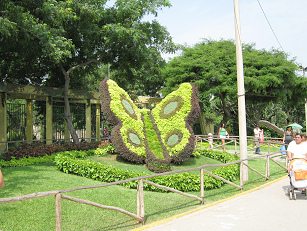 Zoo "Legendenpark" in Lima San
                          Miguel, ein Pflanzenschmetterling am Eingang
                          zum Botanischen Garten (03)