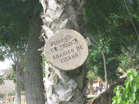 Zoo "Legendenpark" in Lima San
                          Miguel, Tafel Mexikanische Fcherpalme