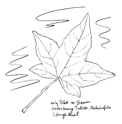 "Amerikanischer" Amberbaum, Blatt