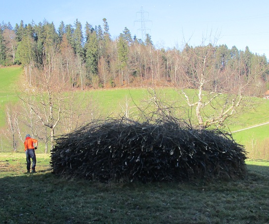 Asthaufen f�r Igel und Bodenv�gel 01