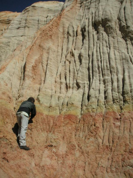 Versteinerte Baumst�mme Argentinien 02,
                      Struktur des Bergs, Nahaufnahme