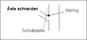 �ste schneiden beim
              Astring