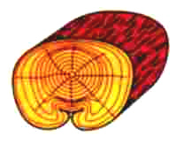 �berwallung geschlossen, Schema
