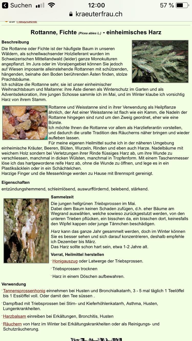 19.1.2023: Merkblatt: Heilwirkung Rottanne und
Weisstanne: Tannensprossenhonig, Harzbalsam, Räuchern
von Harz 19.1.2023: Merkblatt: Heilwirkung
Rottanne und Weisstanne: Tannensprossenhonig,
Harzbalsam, Räuchern von Harz