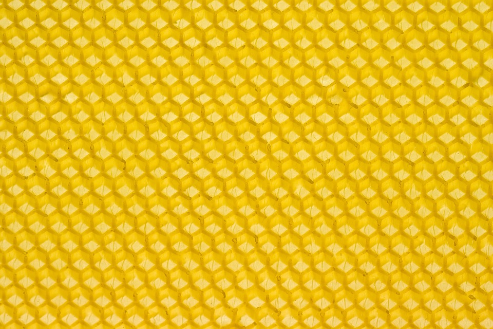 Bienenwabe frisch gepresst Bienenwabe frisch
gepresst