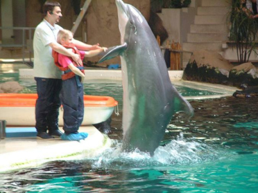 Delphinarium
              Duisburg: Kind streichelt Delphin in Gefangenschaft