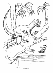 Dinosaurier: Hypsilophodon