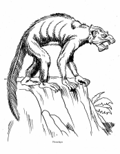 Dinosaurier: Plesiadapis