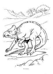 Dinosaurier: Protoceratops