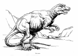 Dinosaurier:
                          Tarbosaurier / Tarbosaurus