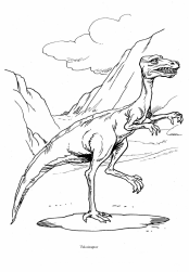 Dinosaurier: Velociraptor, ein
                          Riesenstrauss
