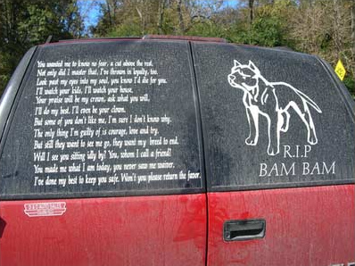 Jerry Westmoreland ten�a un logotipo de
              Pitbull en su carro [88]