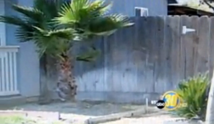 El caso de Colten
                        Smith (19 meses) de Delhi en California, el
                        patio de la casa de la ni�era donde el Pitbull
                        imb�cil mordi� al bebe [85]