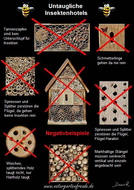 Untaugliche Insektenhotels:
                            Tannenzapfen, Holzsplitter, Weichholz,
                            waagrechte Markstiele in Gruppen