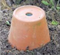 Hummelnest bauen 10: Nun wird die
                                Grube mit dem Aushub wieder aufgef�llt