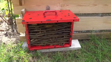 Marienk�ferhaus rot mit
                    schwarzen Punkten, frei nach Fantasie