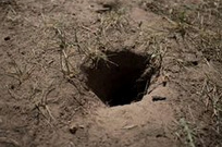Ein Wespenloch f�hrt zu einem
                    unterirdischen Wespennest