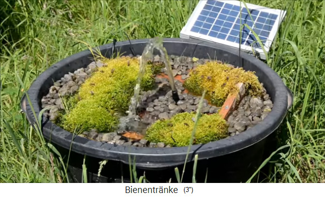 Bienentr�nke mit
                5Watt-Solarwasserpumpe, feuchtem Moos und Schotter