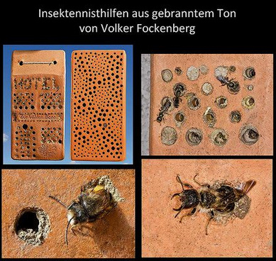 Insektenhotel fr Wildbienen: Gebrannter
                    Tonblock mit Lchern von Herrn Fockenberg