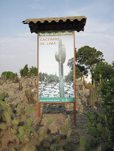 Die Tafel am Kakteengarten im Zoo von
                        Lima-San Miguel "Parque de las Leyendas.
                        Cactario de Lima"
