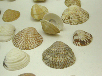 sin nombre,
primer plano sin
nombre, primer plano