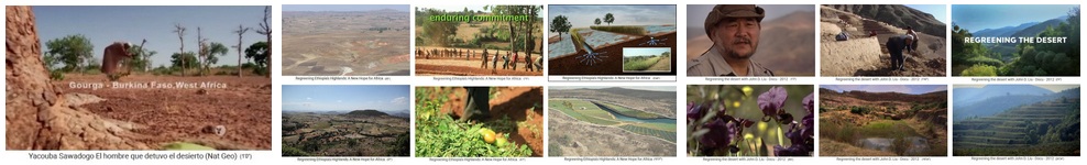 Reforestation: convert deserts
                      into forest - title photo